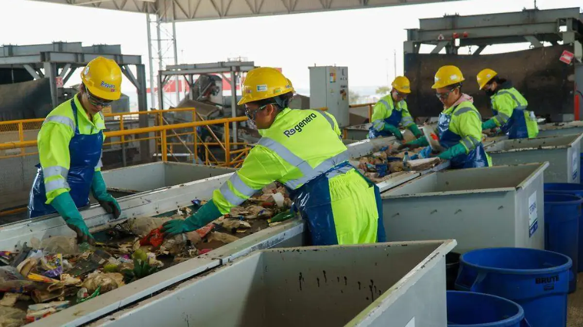 Ecomunidad. el proyecto ecológico de Cemex